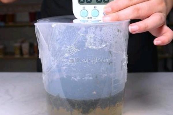 茶饮备料7 毛尖茉莉茶底的做法图解5