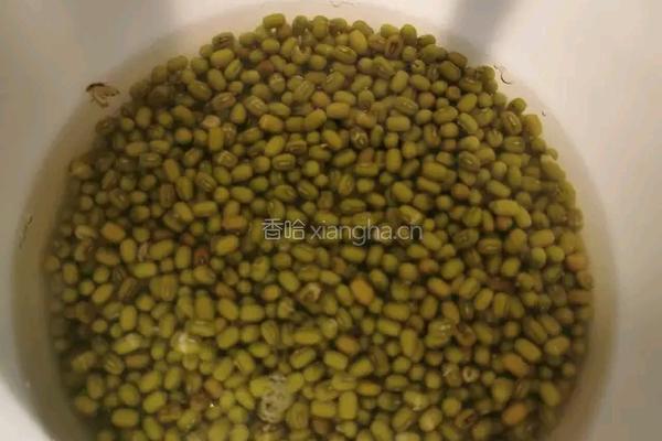 绿豆沙冰棒的做法图解1