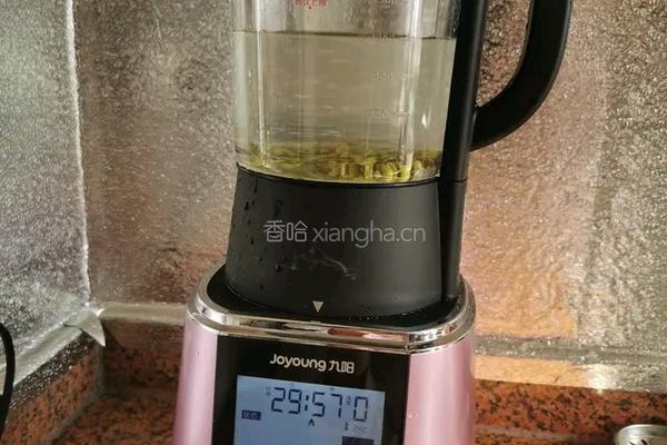 绿豆沙冰棒的做法图解3