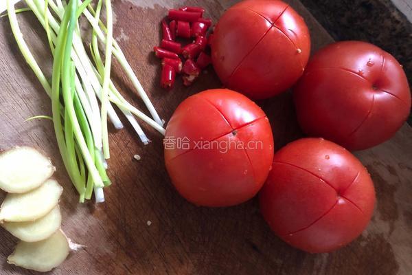 砂锅番茄牛腩煲的做法图解2