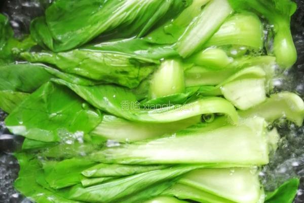 蚝油油菜的做法图解1