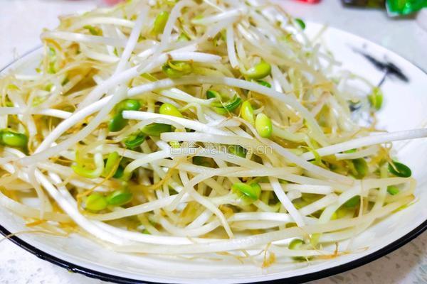 凉拌豆芽菜的做法图解1