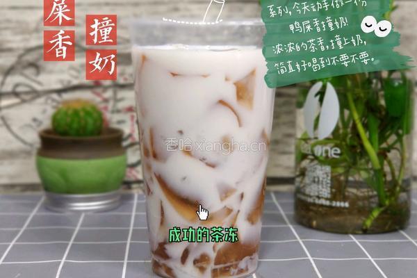 鸭屎香撞奶的做法图解8