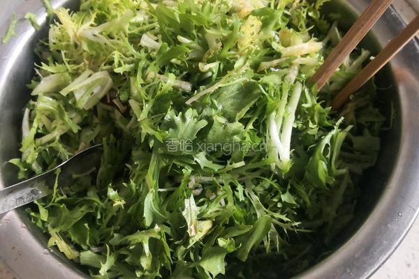 凉拌苦菊的做法图解5