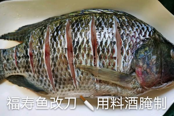 清蒸福寿鱼的做法图解2