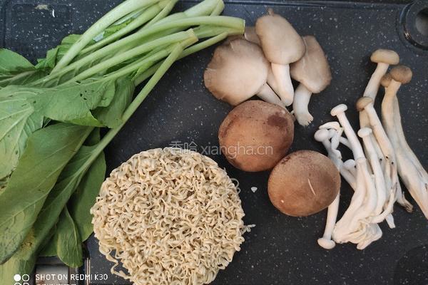 菌菇素菜鸡汤面的做法图解1