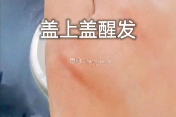玉米面馒头的做法图解4