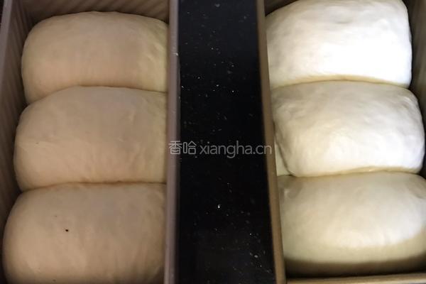 中种超软土司面包的做法图解13