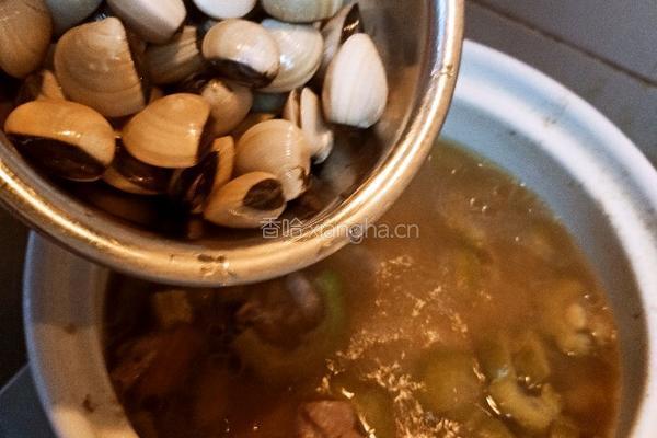 砂锅白贝苦瓜排骨汤的做法图解7