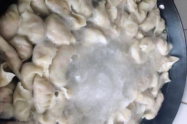 包心菜木耳海米素馅饺子的做法图解7