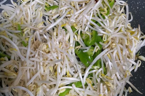 清炒豆芽的做法图解3