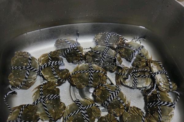 大闸蟹的做法图解3
