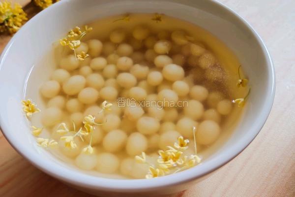 糖水鸡头米的做法图解7