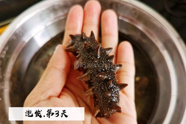清炖海参的做法图解3