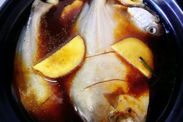 石锅白鲳鱼的做法图解9