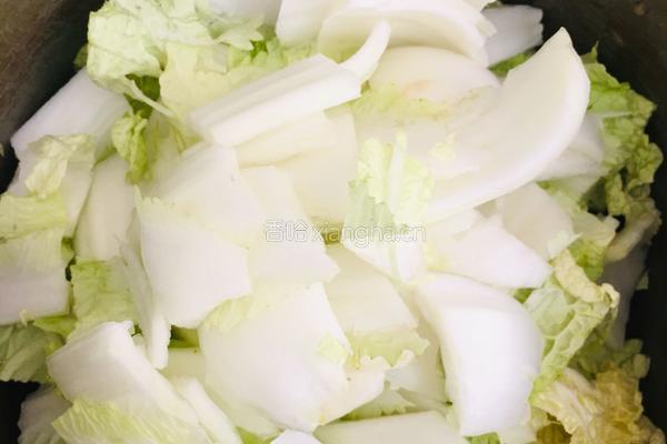 白菜胡萝卜炖豆腐的做法图解1