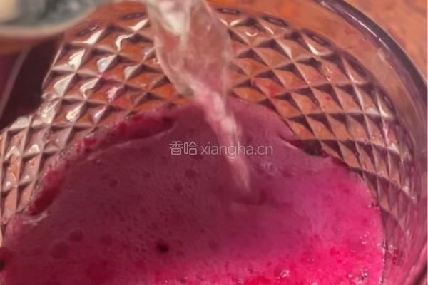 火龙果苏打水的做法图解4