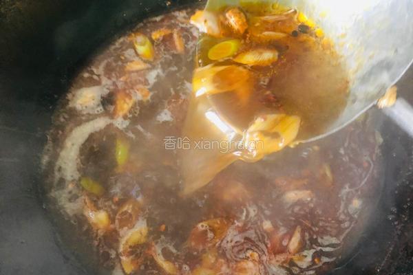 胡萝卜烩牛杂的做法图解4