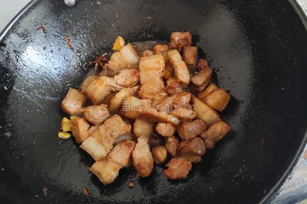 猪肉炖粉条的做法图解4