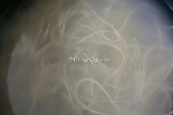 渍菜粉的做法图解4