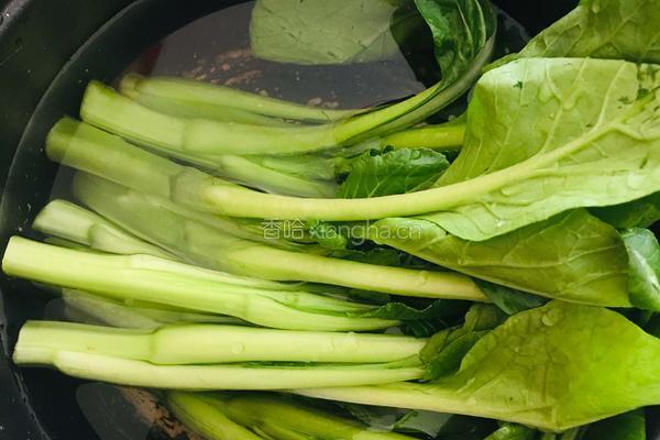 白灼菜心的做法图解1