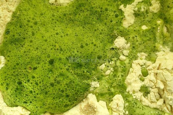 青菜香菇包的做法图解2