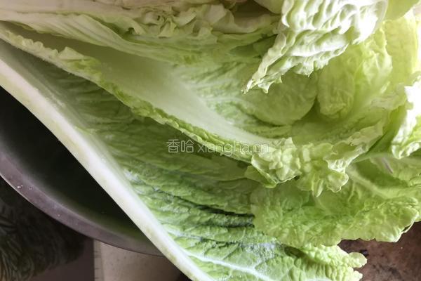 韩式辣白菜的做法图解5