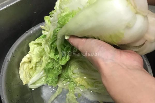 韩式辣白菜的做法图解10