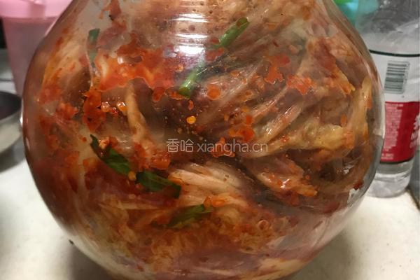 韩式辣白菜的做法图解14