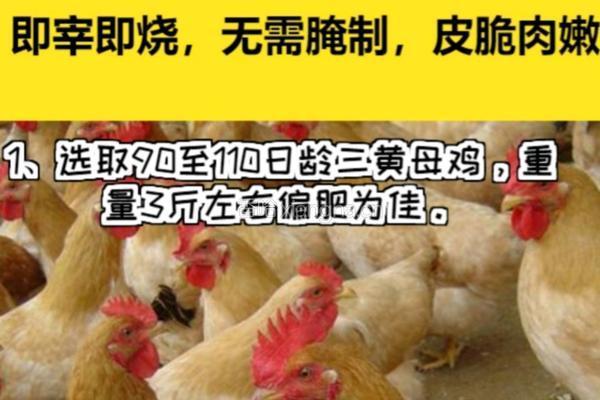 广式脆皮吊烧鸡的做法图解1