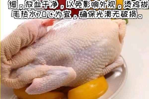 广式脆皮吊烧鸡的做法图解2