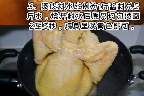 广式脆皮吊烧鸡的做法图解4