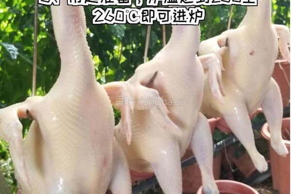 广式脆皮吊烧鸡的做法图解6
