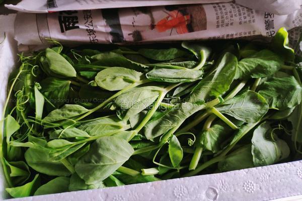 豌豆颠滚蛋花汤的做法图解1