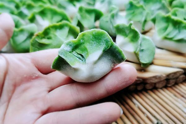 翡翠白菜饺子的做法图解20