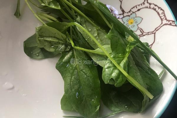 鸡肝菠菜蛋面的做法图解1