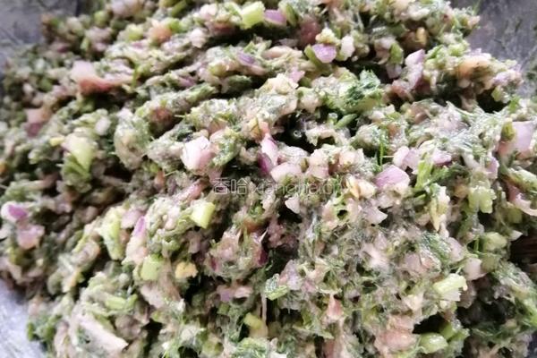 猪肉茴香饺子的做法图解8