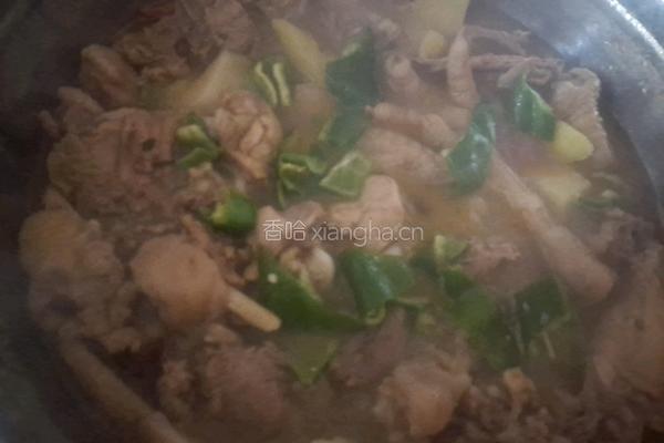 土豆炖鸡肉的做法图解5