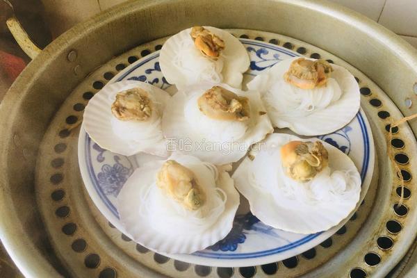 蒜蓉粉丝蒸扇贝的做法图解3