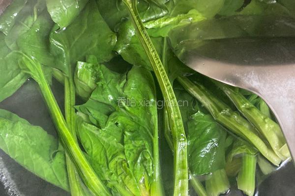 菠菜鸡蛋汤的做法图解1