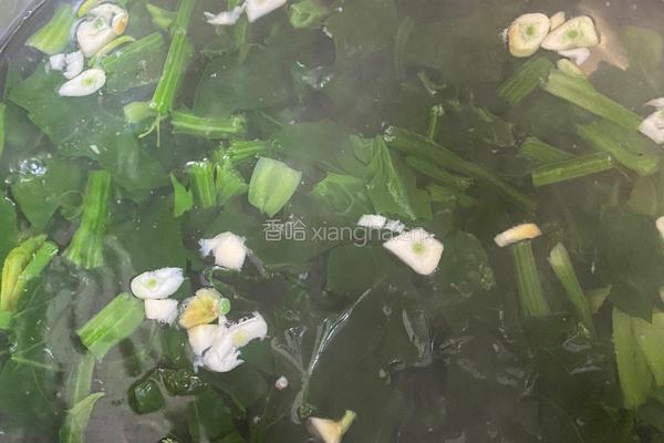 菠菜鸡蛋汤的做法图解4