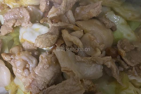 甘蓝菜炒五花肉的做法图解6