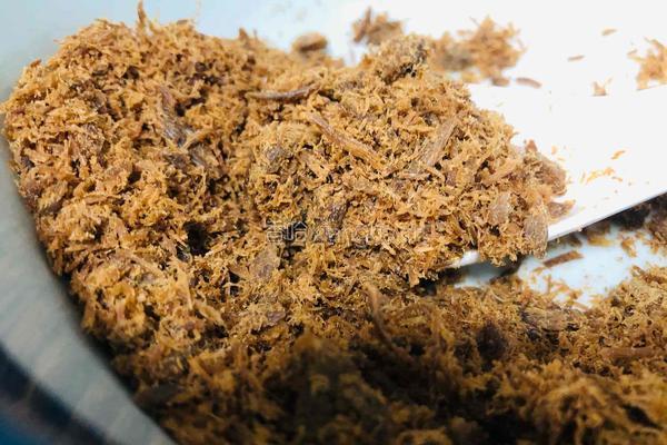 自制宝宝辅食牛肉松的做法图解8