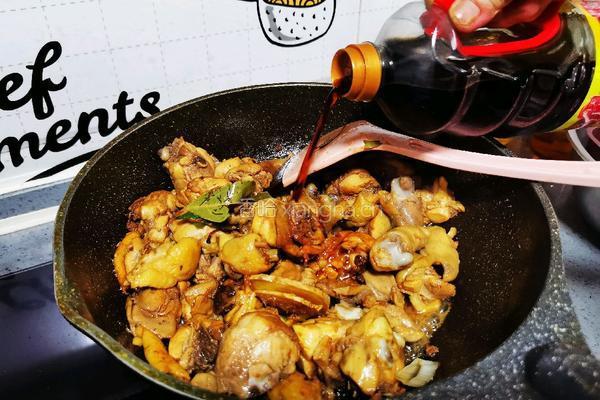 鸡肉炖土豆的做法图解14