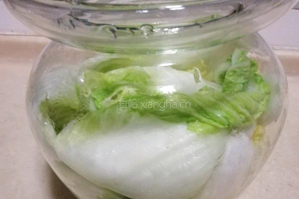 东北酸菜的做法图解7