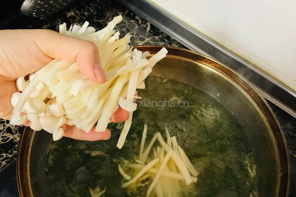 蘑菇鸡汤的做法图解4