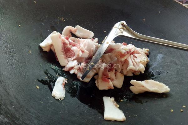 小炒肉的做法图解5