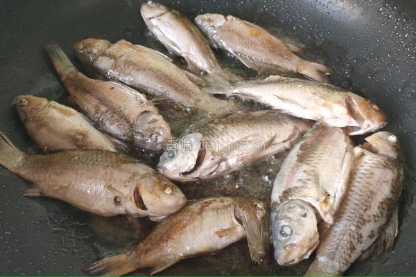 野鲫鱼老豆腐汤的做法图解2