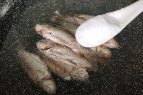 野鲫鱼老豆腐汤的做法图解6