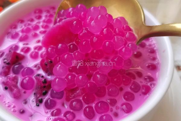 红心火龙果西米露的做法图解14